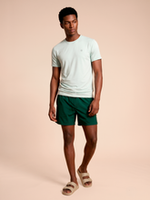 Cargar imagen en el visor de la galería, Model Front: Uv Line T-Shirt For Men T-Shirt Uvpro Masc Light Green Upf50+

